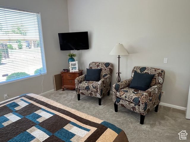 1042 W HILLVIEW DR, Washington, UT 84780