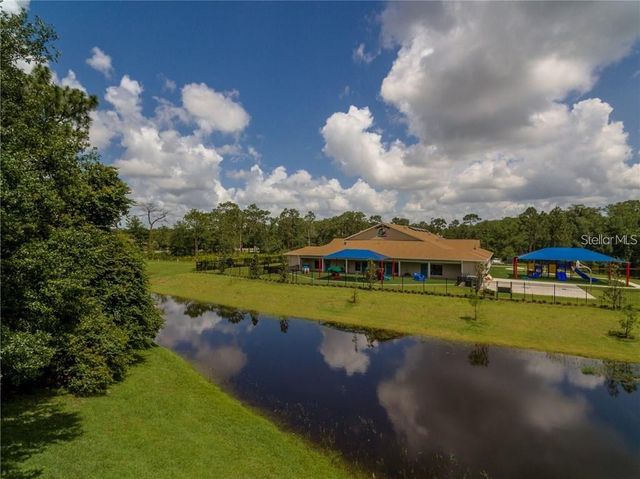 10137 PINK CARNATION COURT, Orlando, FL 32825