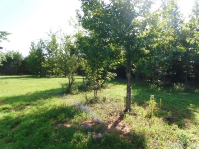 571 Daffodil, Romance, AR 72136