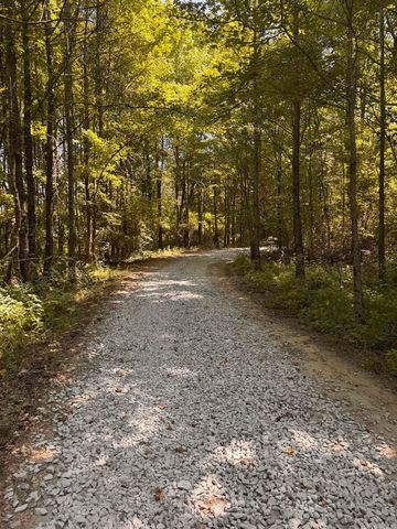 571 Daffodil, Romance, AR 72136