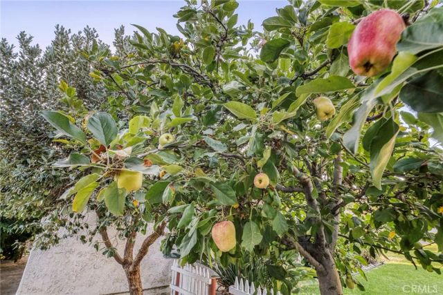 4321 Aspenglow Circle, Yorba Linda, CA 92886