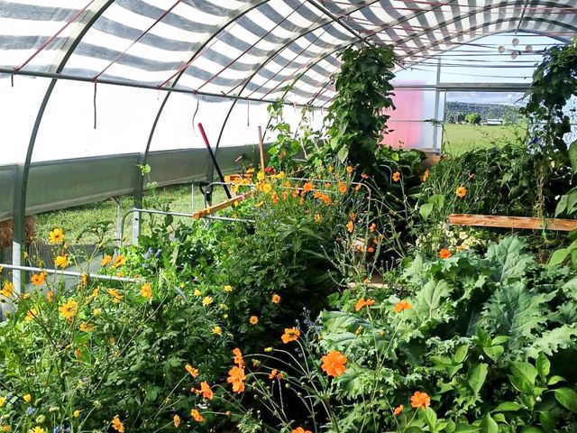 41990 Cottonwood Creek Road, Crawford, CO 81415