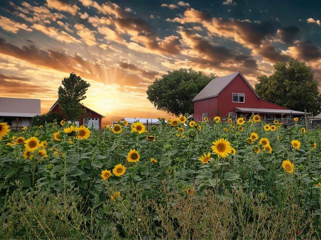 41990 Cottonwood Creek Road, Crawford, CO 81415