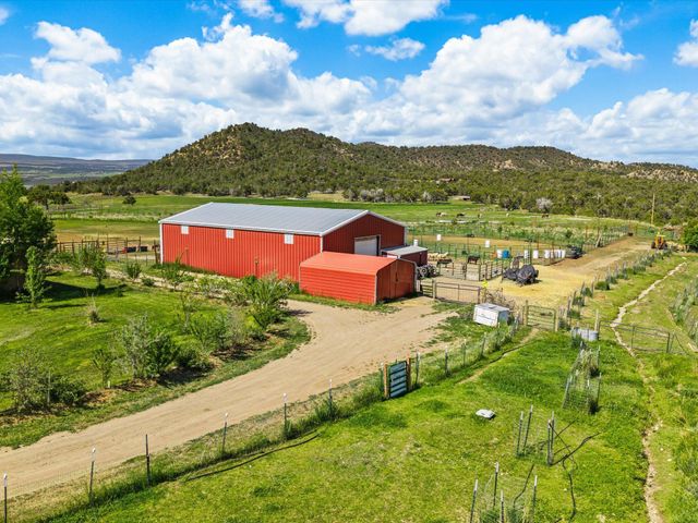 41990 Cottonwood Creek Road, Crawford, CO 81415
