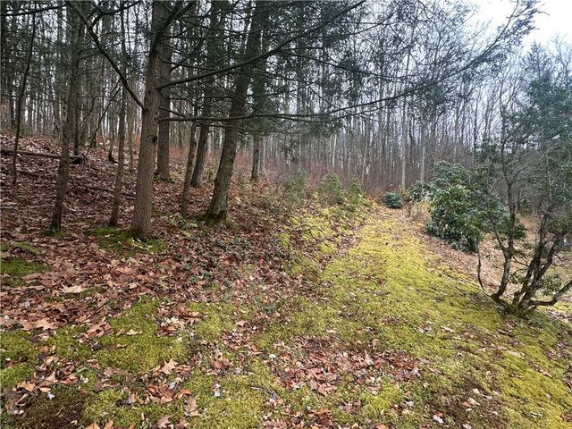 56 Ouaquaga Road, Colesville, NY 13904