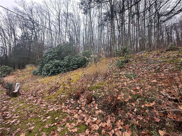 56 Ouaquaga Road, Colesville, NY 13904