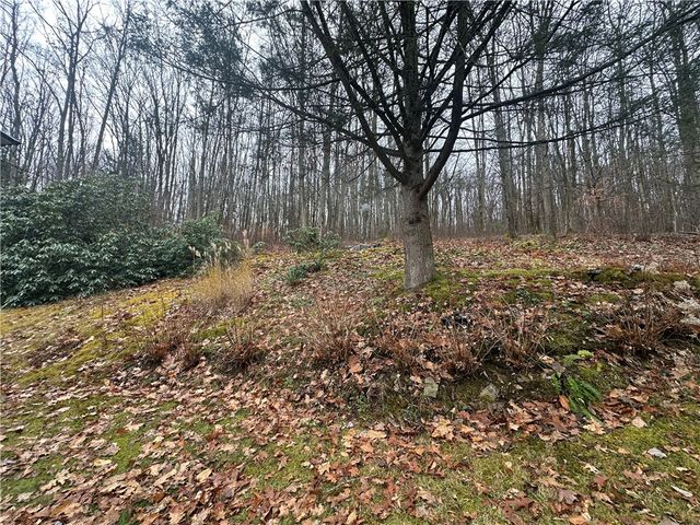 56 Ouaquaga Road, Colesville, NY 13904