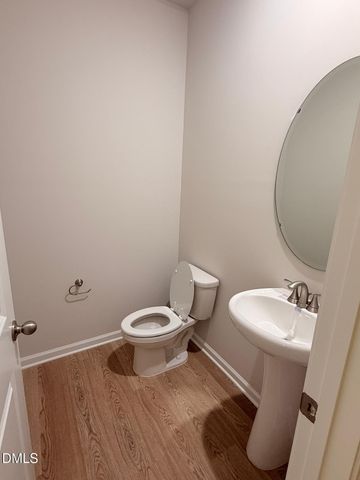 95 Thistle Patch Place, Angier, NC 27501