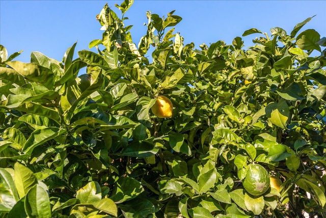 2847 Abbey St, Oakland, CA 94619