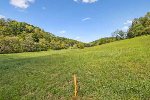 0 Young Rd, Pulaski, TN 38478