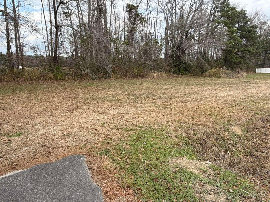 TBD Neil Branch Rd., Loris, SC 29569