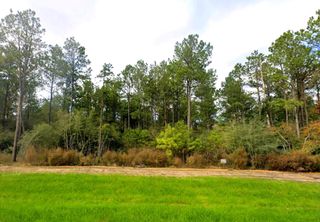 15556 Intrepid Lane, Willis, TX 77378