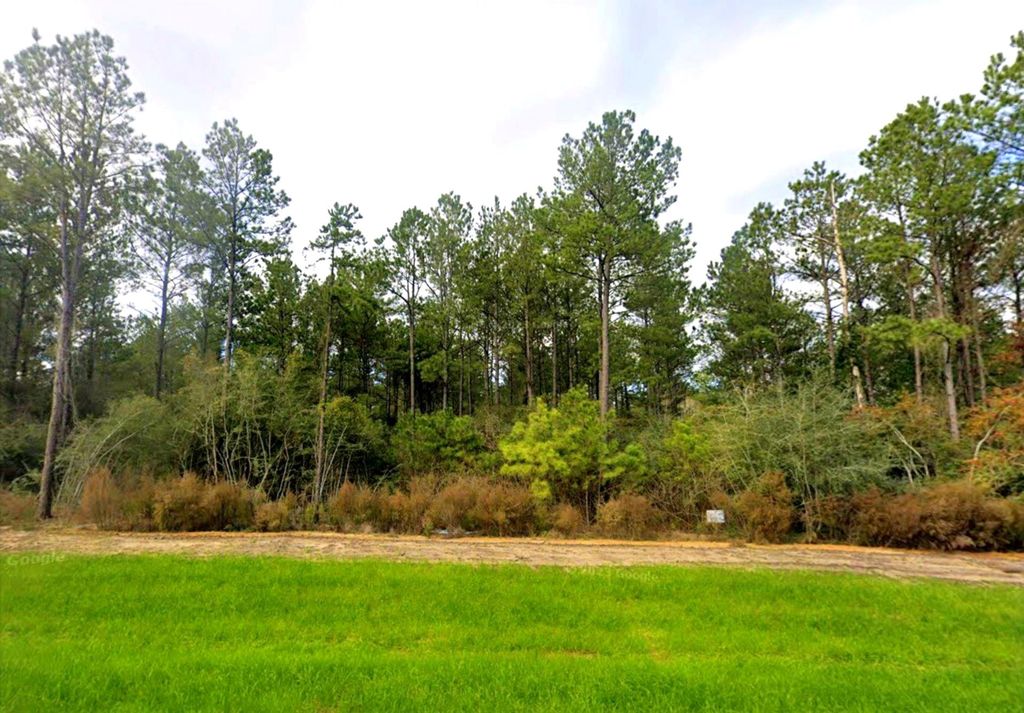 15556 Intrepid Lane, Willis, TX 77378