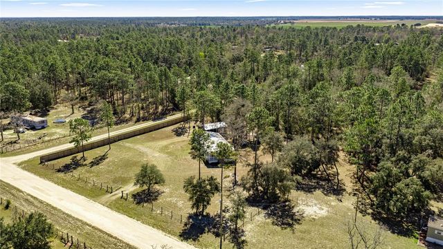 12150 NE 15 STREET, Williston, FL 32696