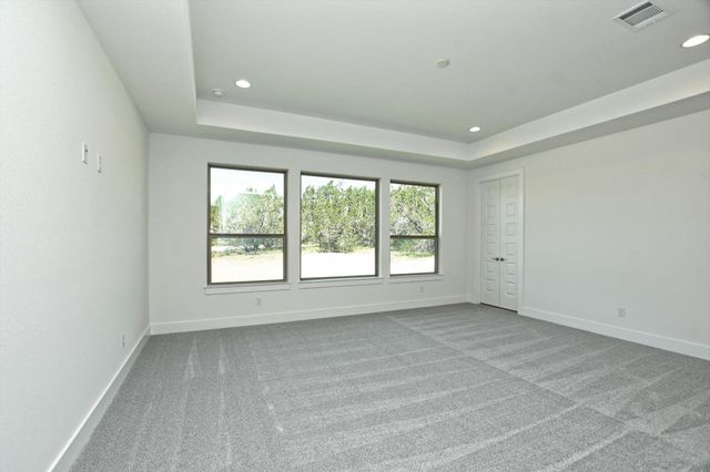 619 Wonderstruck, Liberty Hill, TX 78642