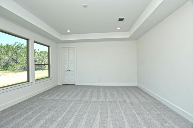 619 Wonderstruck, Liberty Hill, TX 78642
