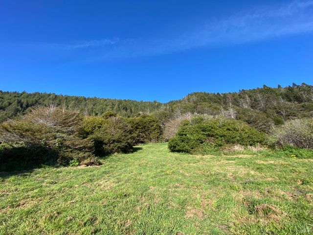 41301 Seascape Dr, Westport, CA 95488