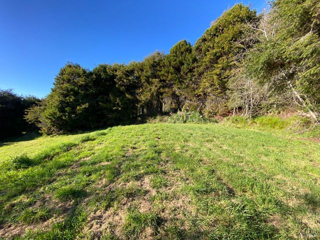 41301 Seascape Dr, Westport, CA 95488