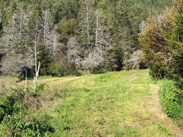 41301 Seascape Dr, Westport, CA 95488