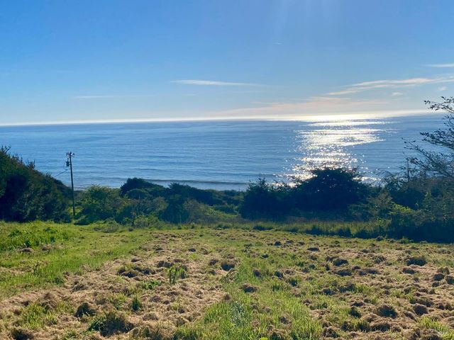 41301 Seascape Dr, Westport, CA 95488