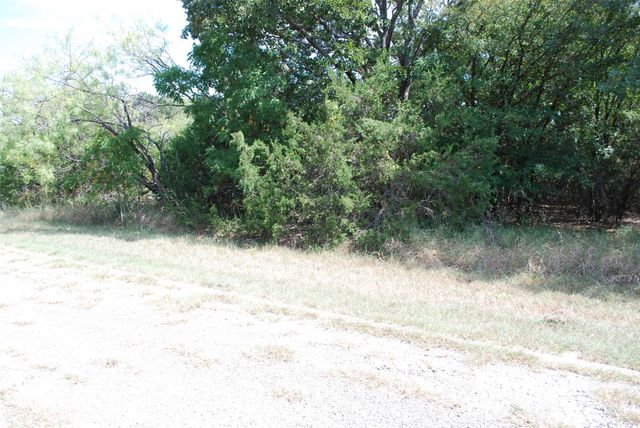 31038 Doe Run Court, Whitney, TX 76692