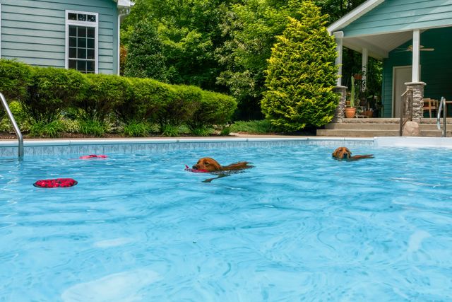 1766 Hunts Ln, Bowling Green, KY 42103