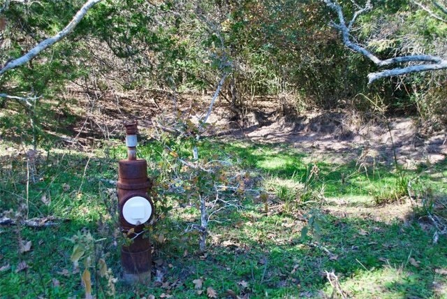TBD Herman LN, Flatonia, TX 78941