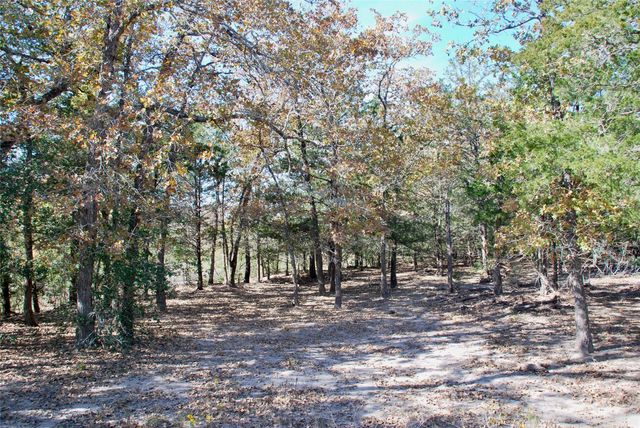 TBD Herman LN, Flatonia, TX 78941