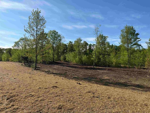 1060 E Solaris Way, Kasson Twp, MI 49664