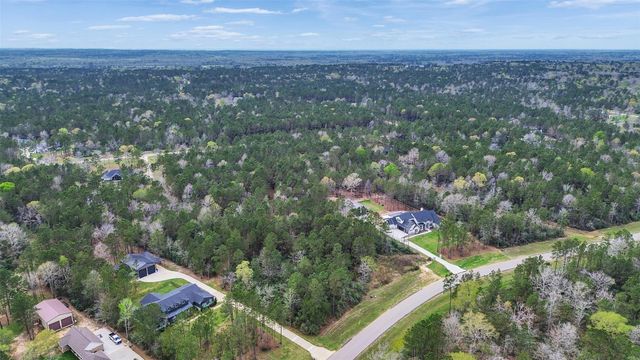 10752 Ruger Road, Willis, TX 77378