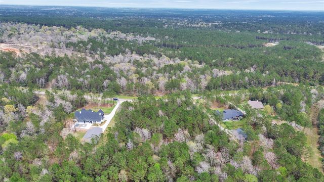 10752 Ruger Road, Willis, TX 77378