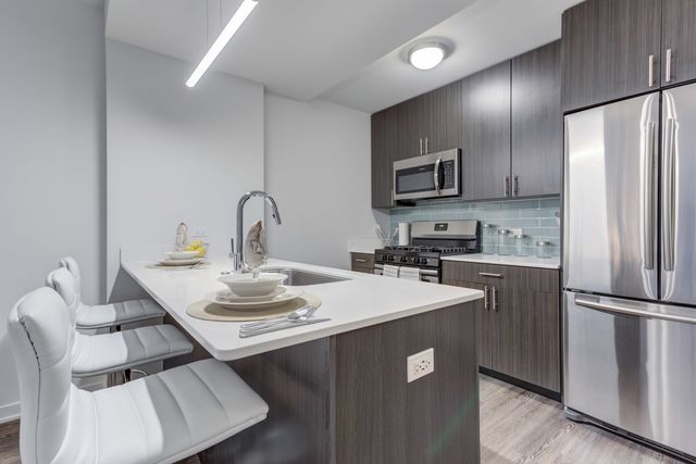1325 N Wells Street 304, Chicago, IL 60610