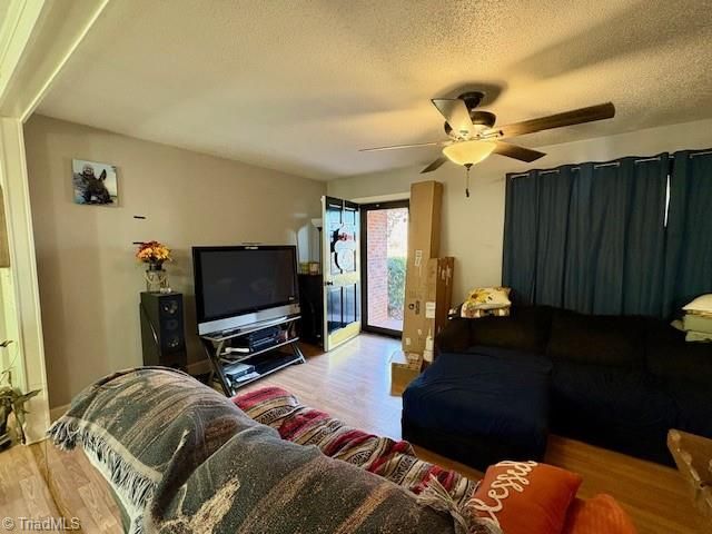 927 Shingle Gap Road, Purlear, NC 28665