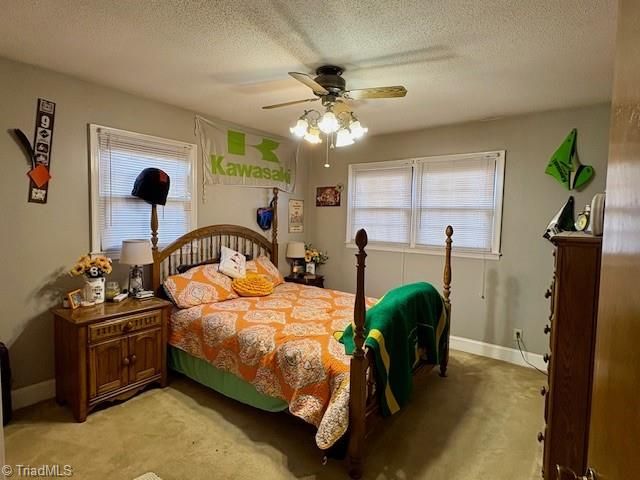 927 Shingle Gap Road, Purlear, NC 28665