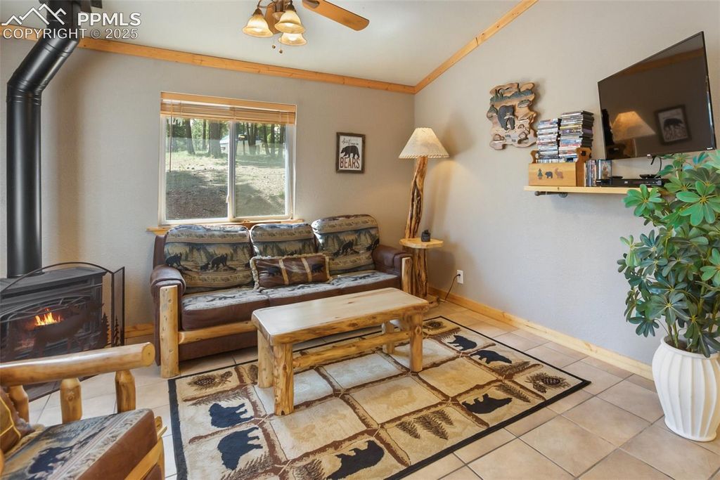 31 Handcart Circle, Florissant, CO 80816 — photo 4