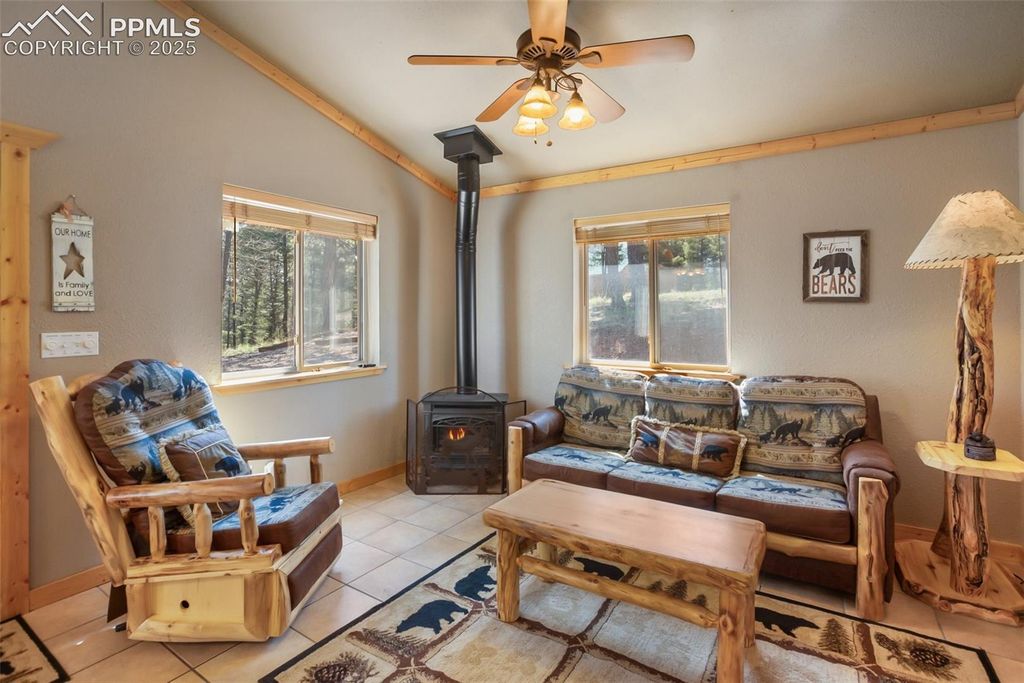 31 Handcart Circle, Florissant, CO 80816 — photo 5