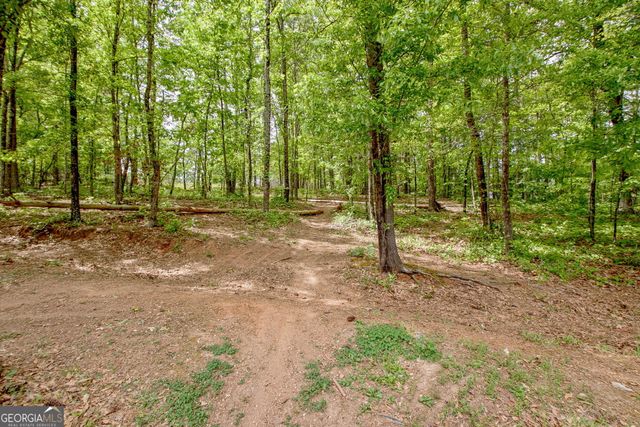 374 Persimmon Drive, Sharpsburg, GA 30277