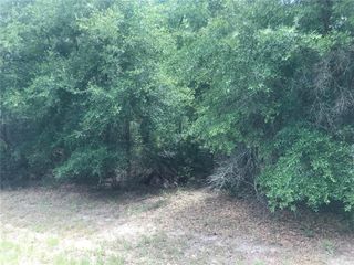 10161 N DYAL DRIVE, Citrus Springs, FL 34434