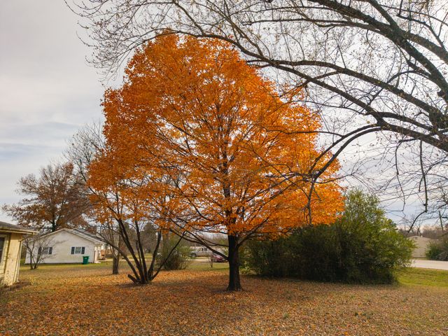 877 E Main Street, Willow Springs, MO 65793