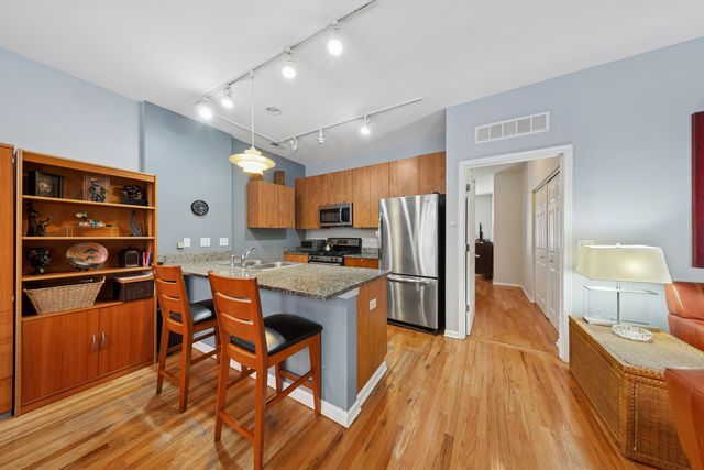 347 E 25th Place 1E, Chicago, IL 60616