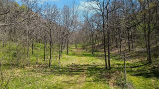 000 Paradise Lane, Pineville, MO 64856