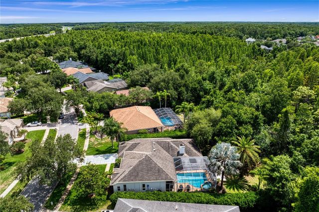 6123 SAVOY CIRCLE, Lutz, FL 33558