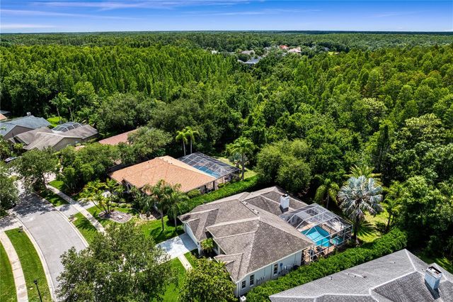 6123 SAVOY CIRCLE, Lutz, FL 33558