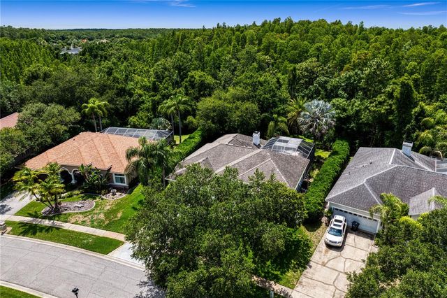 6123 SAVOY CIRCLE, Lutz, FL 33558