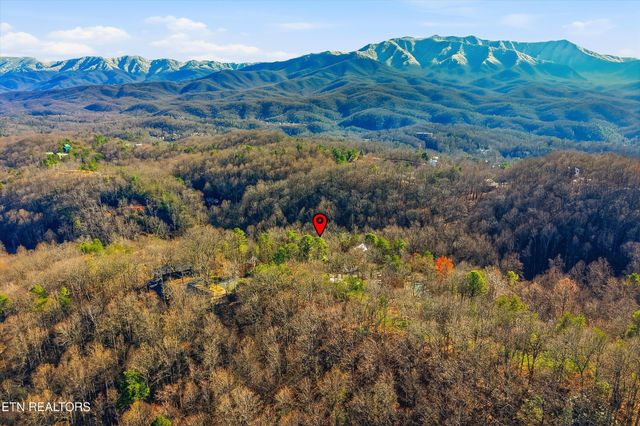 1104 Laddie Buck Lane, Gatlinburg, TN 37738