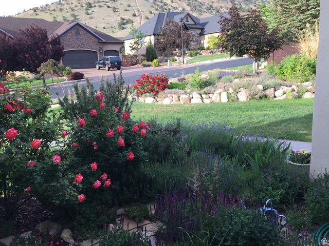 486 E HILLVIEW DR, Cedar City, UT 84721