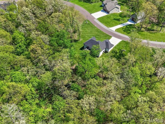 156 Eagle Fork Drive, Moscow Mills, MO 63362