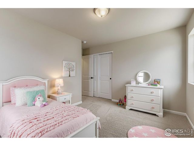 764 Wood Sorrel Ln, Fort Collins, CO 80524