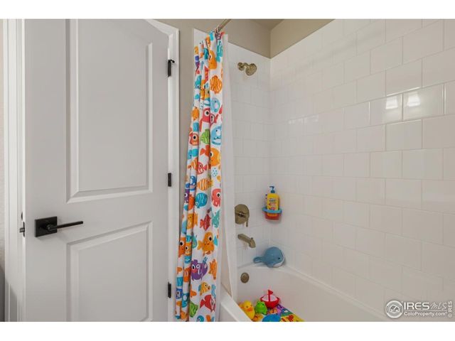 764 Wood Sorrel Ln, Fort Collins, CO 80524