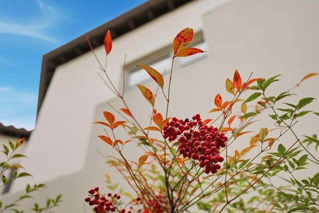 141 W 3rd Avenue, San Mateo, CA 94402